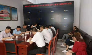 志丹县应急管理局党委各支部召开党史学习教育专题组织生活会